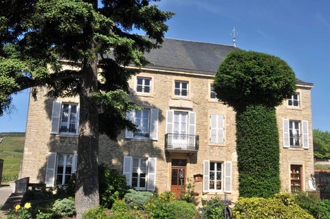 Domaine Mongeard-Mugneret 